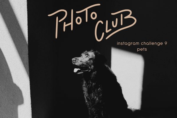 instagram-challenge-9-pets-cover-wide